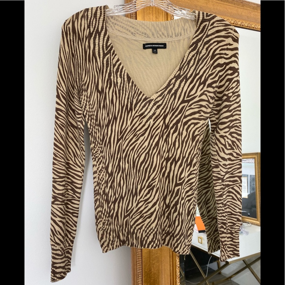EXPRESS DESIGN STUDIO FITTED PLUNGING V SWEATER